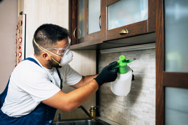 Professional Pest Control in Porter, IN