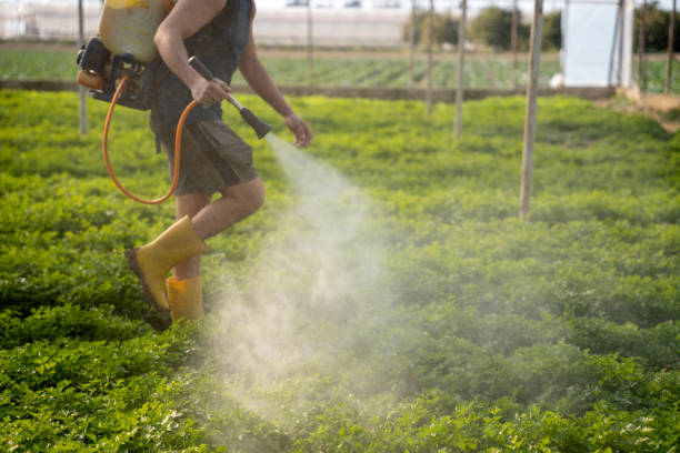 Best Residential Pest Control  in Porter, IN