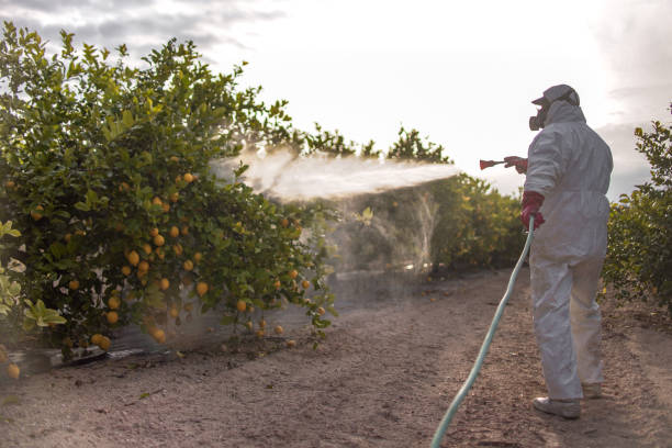 Best Pest Removal Services  in Porter, IN