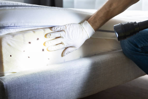 Best Wildlife Control Services  in Porter, IN
