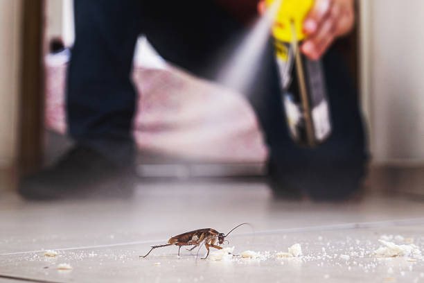 Best Local Pest Control Services  in Porter, IN