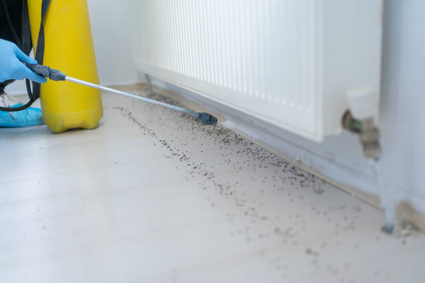 Best Best Pest Control Companies  in Porter, IN