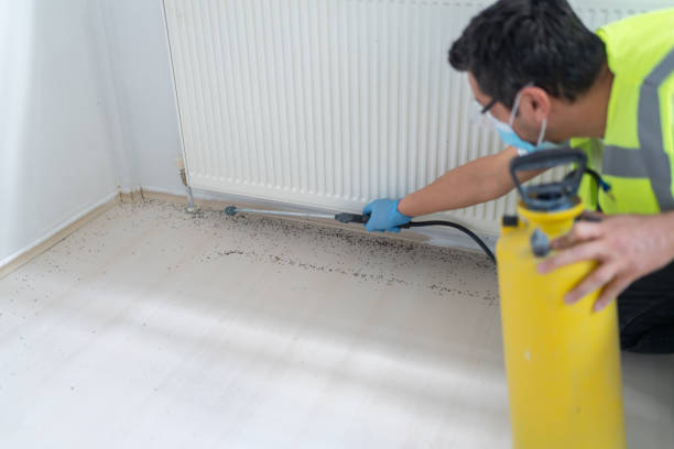 Best Affordable Pest Control Services  in Porter, IN