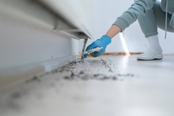 Best Flea Control Services  in Porter, IN